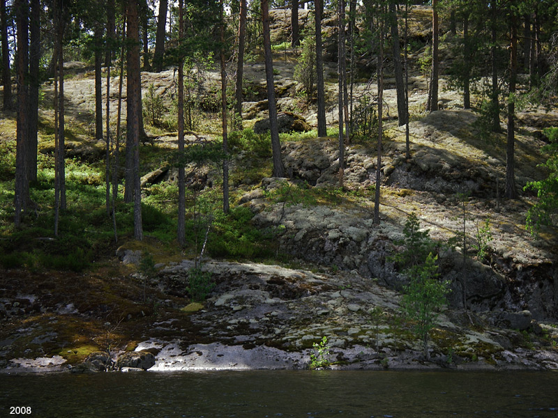 40IMGP0482