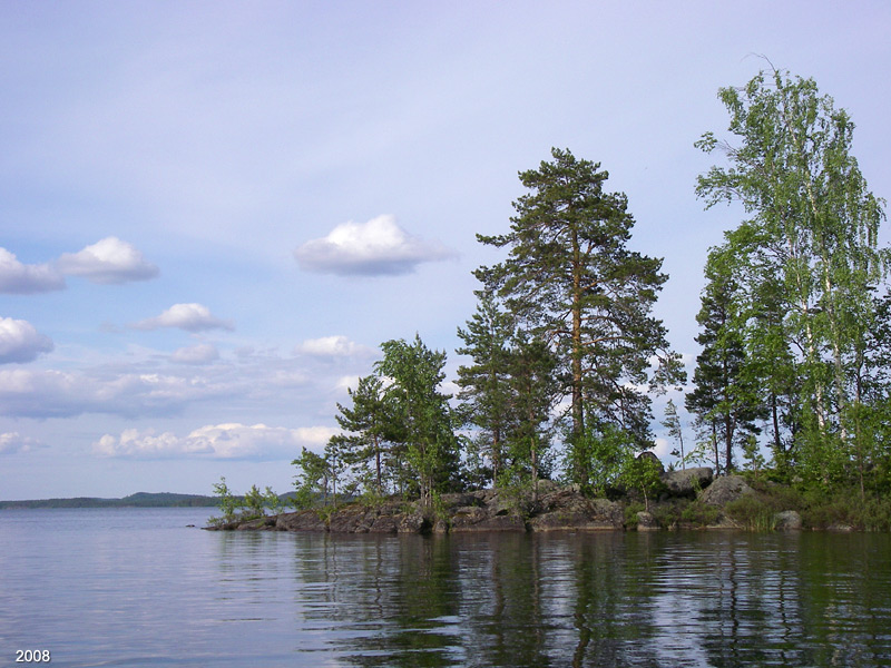 54IMGP0516