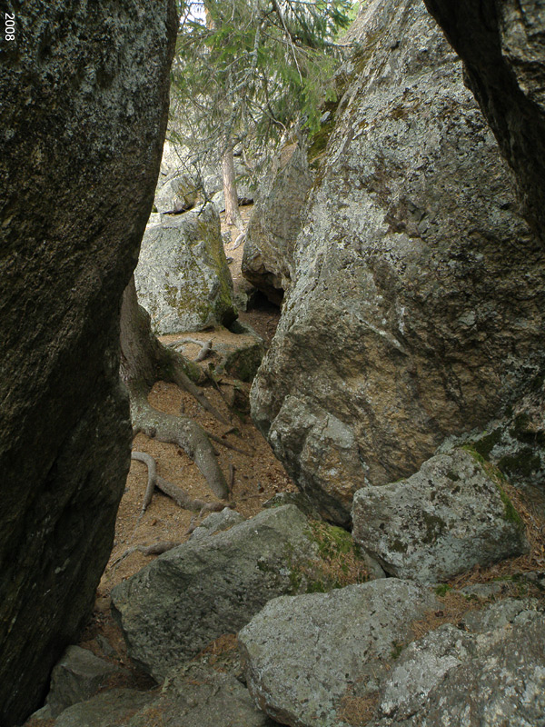 0204P5270138