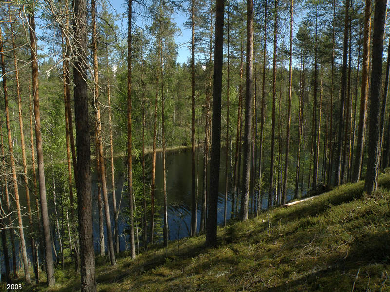 0502P5300339