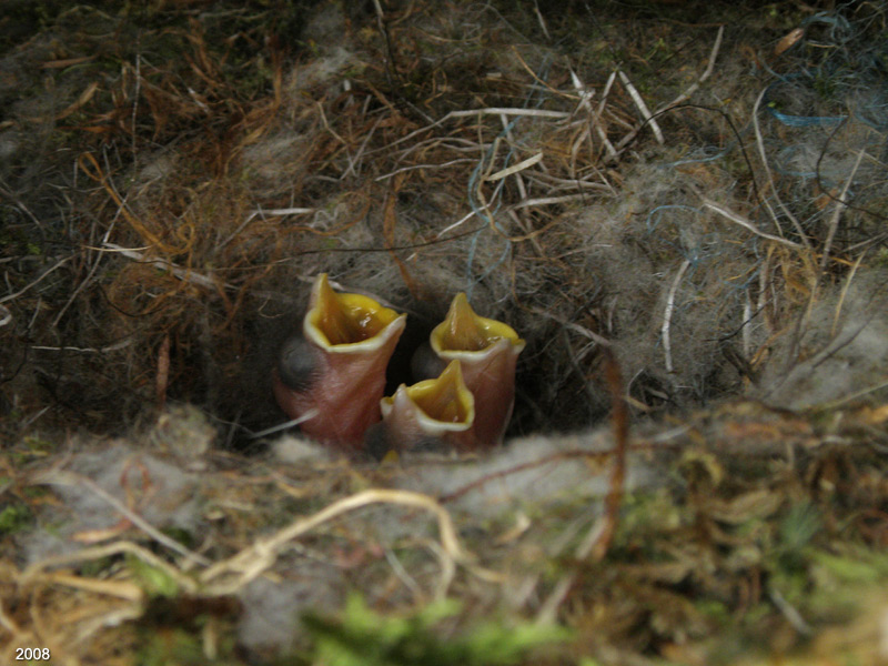 0708P6010539