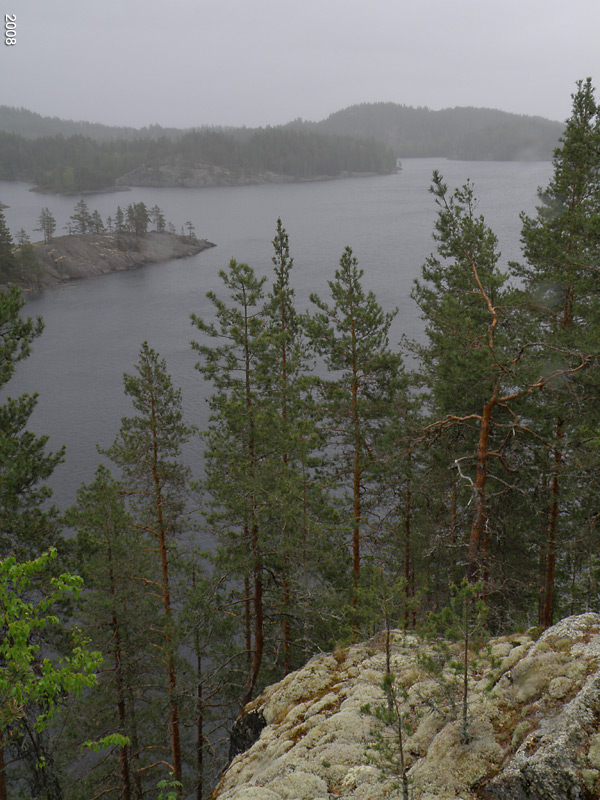 0805P6020568