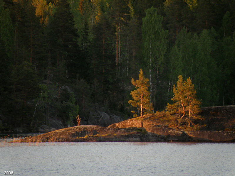 0909P6030648