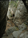 0204P5270138