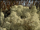 0307P5280221