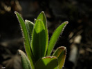 0610P5310439