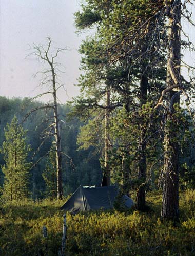 Harrijoki-Hammaskaira-1990
