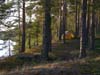 Rastiniemi-Saimaa-2006