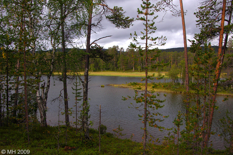 045-DSCN7896