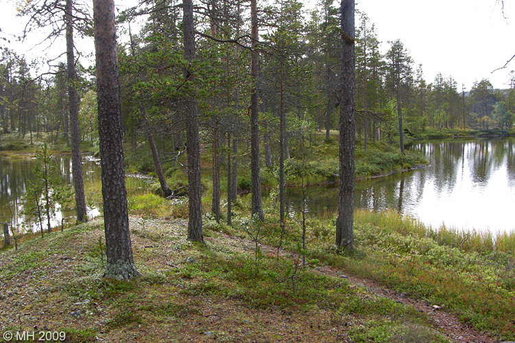 057-DSCN7929