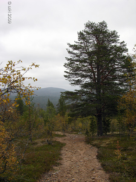090-DSCN8018