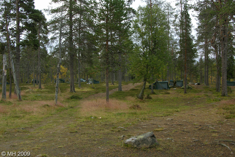 101-DSCN8110