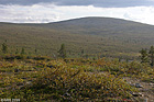 007-DSCN7767