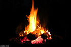 018-DSCN7795