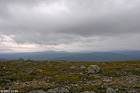 029-DSCN7843