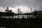 031-DSCN7847
