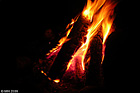 044-DSCN7895