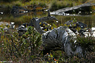 075-DSCN7978