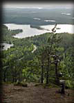 119-Maisema-Konttaiselta