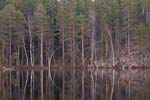 55Holma-Saarijarvi