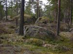 59Kallioita