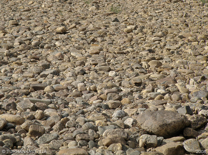 P7081445